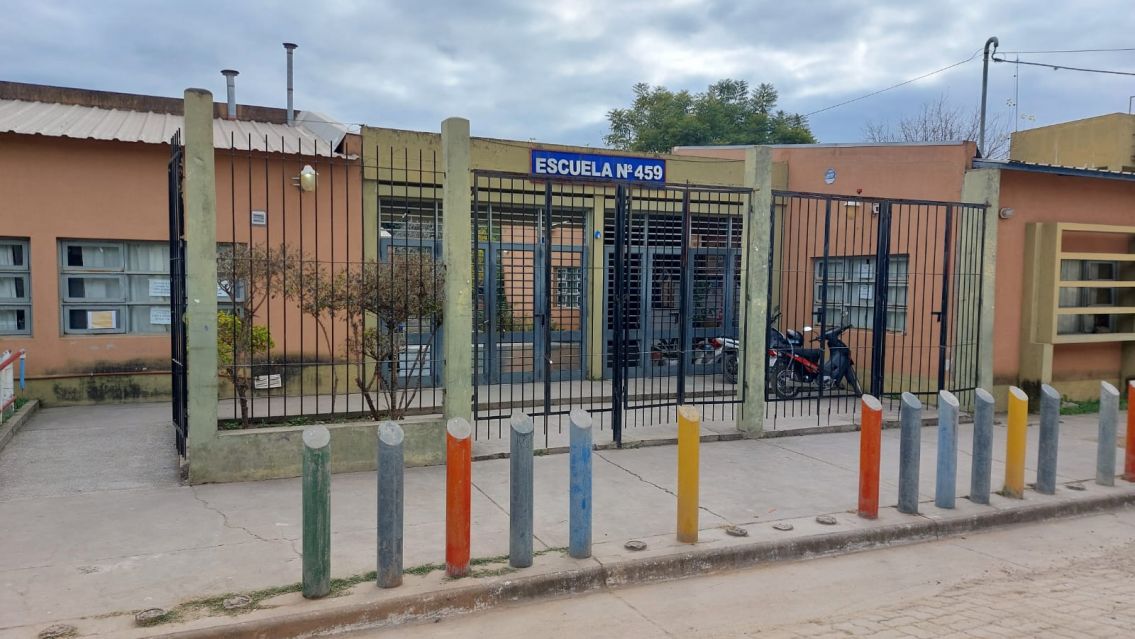 Escuela jujeña fue invadida por michis: "Hacen pis en todos lados"