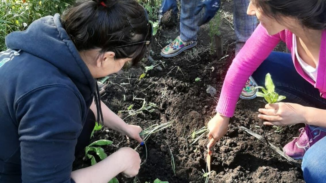 La muni de San Salvador lanz� un taller gratuito de huertas org�nicas