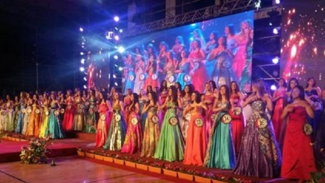 Más de 240 artistas darán brillo al show de la FNE 2024