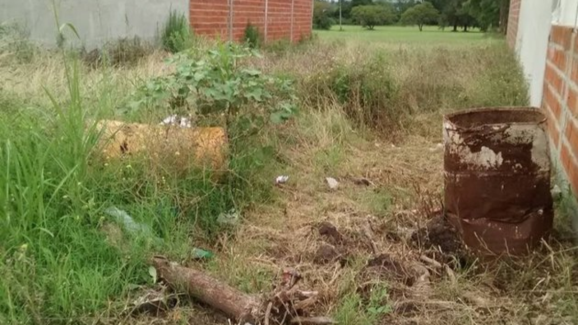 Juje�a fue reportada como desaparecida luego apareci� muerta y descuartizada