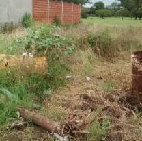 Jujeña fue reportada como desaparecida luego apareció muerta y descuartizada