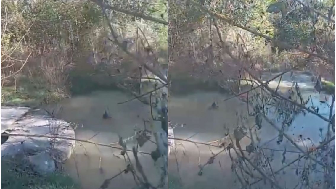 Se formó una laguna de líquidos cloacales en barrio Florida y Agua Potable no responde