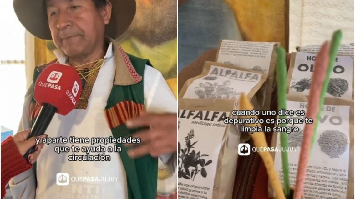 Furor en Jujuy por las hierbas medicinales: cu�les son las m�s pedidas