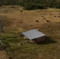As&iacute; es la escuela abandonada a la que habr&iacute;a llegado Loan antes de ser entregado