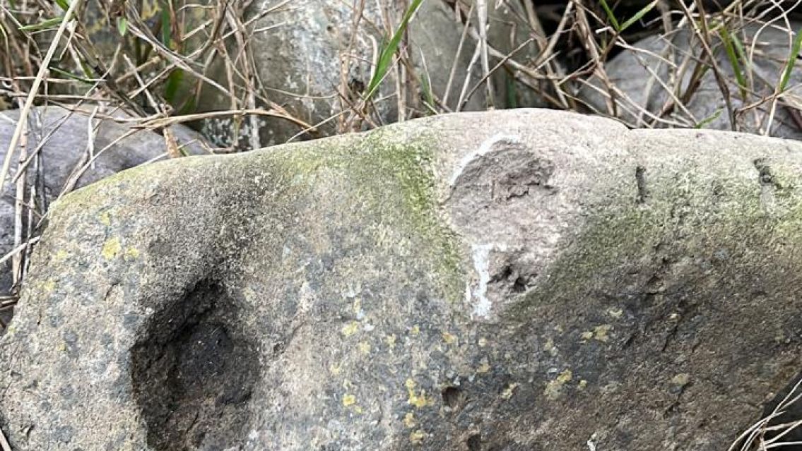 Encontraron un tesoro arqueológico en Los Perales: sorpresa en una excavación