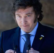 Fuerte caída de la confianza en Javier Milei: Los motivos