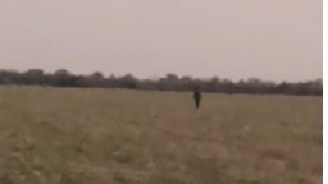 Fueron a un campo de Salta y una sombra empez� a corretearlos: tremendo susto