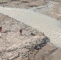 Encontraron un cuerpo abajo del Puente Belgrano