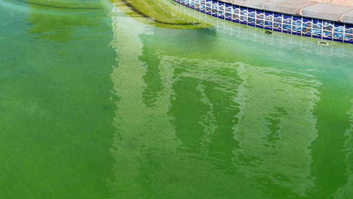 Gritos y desesperación en pleno cumpleañito: "No te la puedo creer"