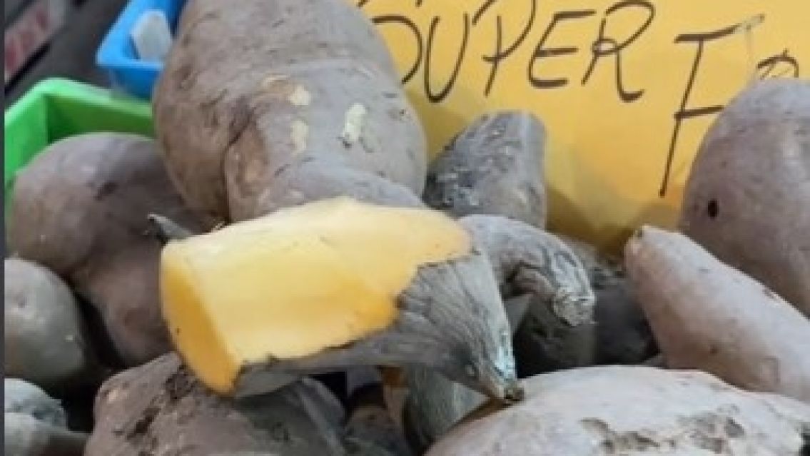 Furor por el Yac�n en Jujuy: se consigue a 1800 el kilo