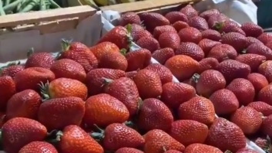 Ya empezó a caer el precio de la frutilla en Jujuy: "va a seguir bajando"