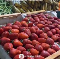 Ya empez&oacute; a caer el precio de la frutilla en Jujuy: "va a seguir bajando"