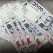 C&oacute;mo saber si cobro las Becas Progresar: los detalles