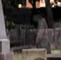 Afirman que una mujer se aparece en un cementerio del norte