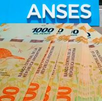 Bono de 250 mil pesos para un grupo que cobra Asignaci&oacute;n Universal por Hijo