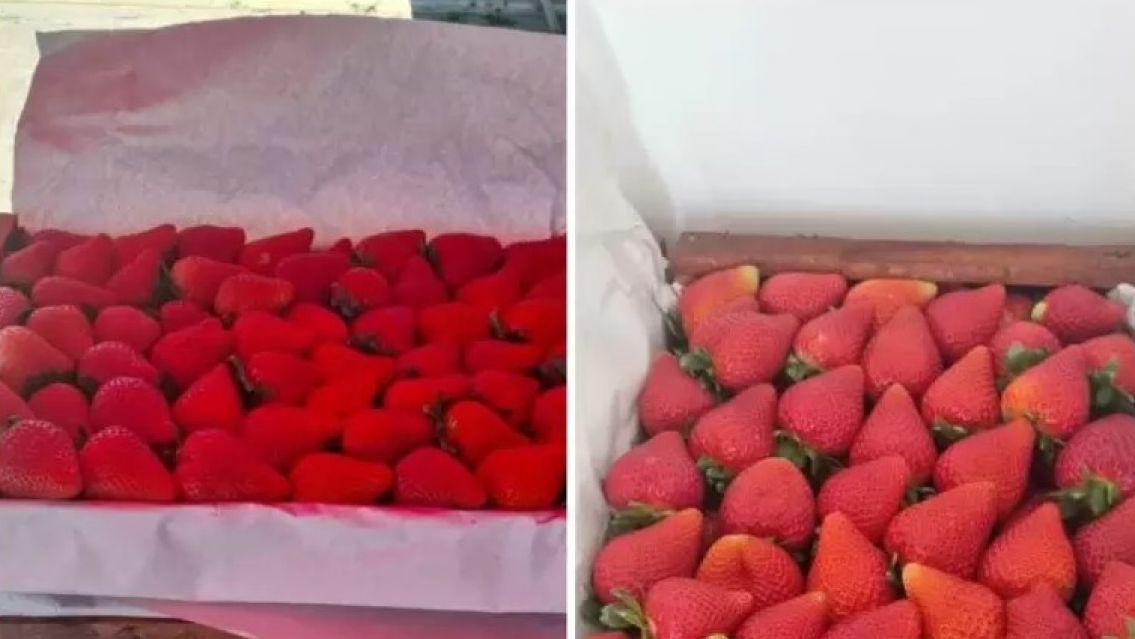 Comenz� la temporada de frutillas en Jujuy y los precios enloquecieron a todos