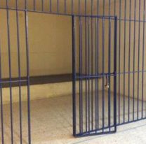 Las comisar&iacute;as de Jujuy se encuentran casi vac&iacute;as: Los motivos