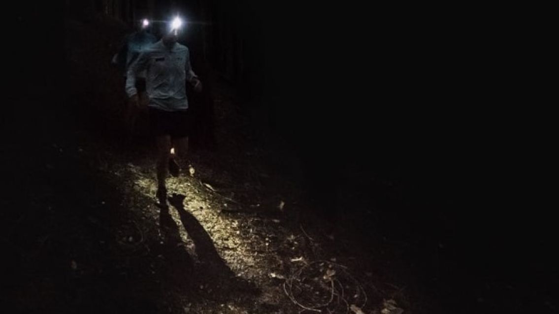 "Dientes y garras gigantes": la aparici�n que hizo cerrar un parque juje�o