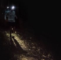 "Dientes y garras gigantes": la aparici&oacute;n que hizo cerrar un parque juje&ntilde;o