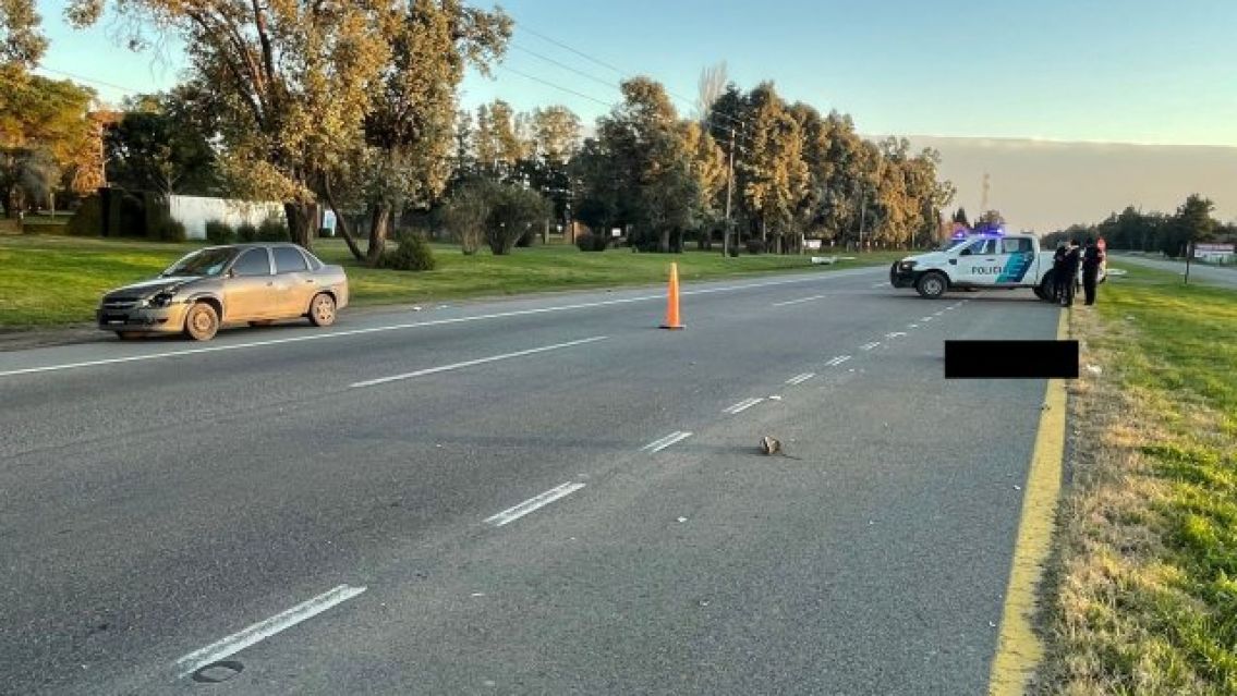 Quiso cruzar por la ruta y lo embistieron: espantoso accidente