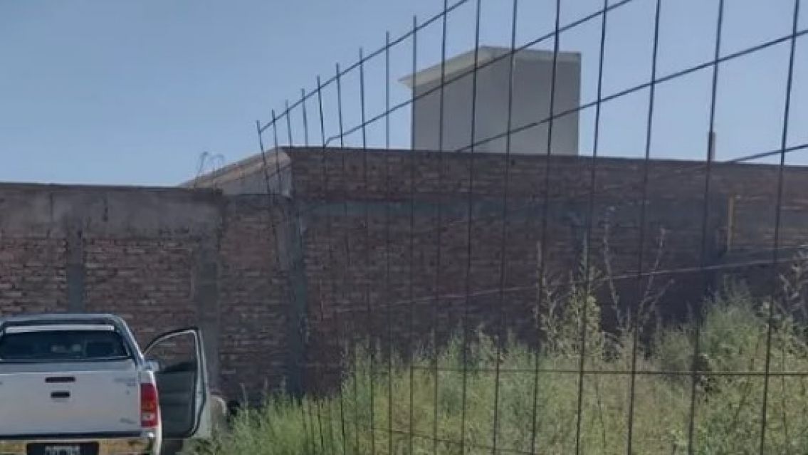 Hizo marcha atr�s y aplast� a un juje�ito de tres a�os