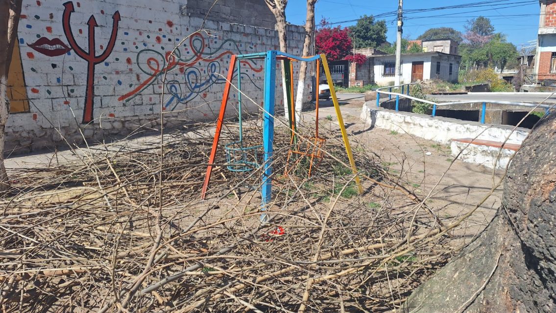 Solo en Palpalá: podaron un árbol y tiraron los restos arriba de juegos de una plaza