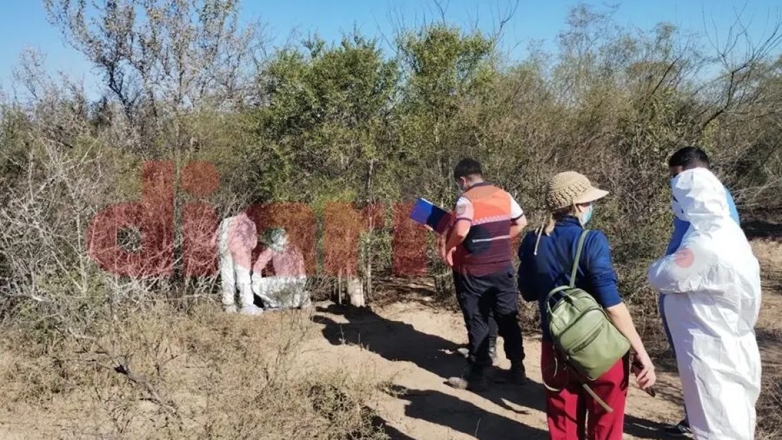 Horror en el monte: nene encontr� un cuerpo