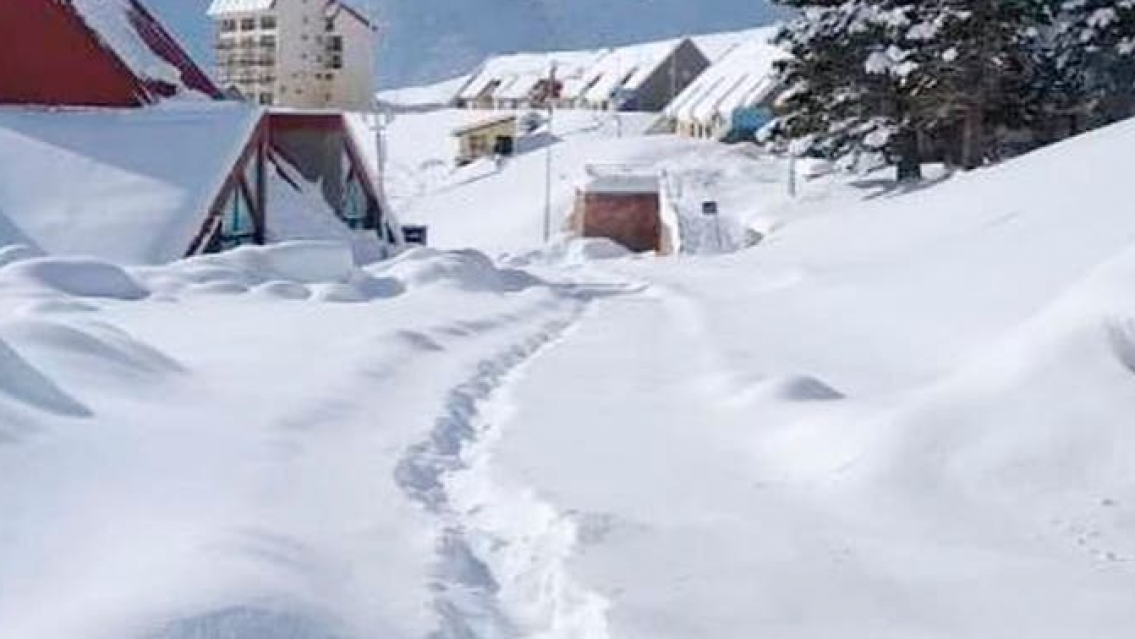 Se derriti� la nieve en Argentina y encontraron lo peor: estaban todas muertas