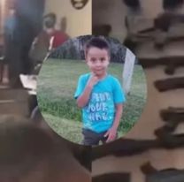 Encontraron un mont&oacute;n de chiquitos en Brasil: investigan si est&aacute; Loan