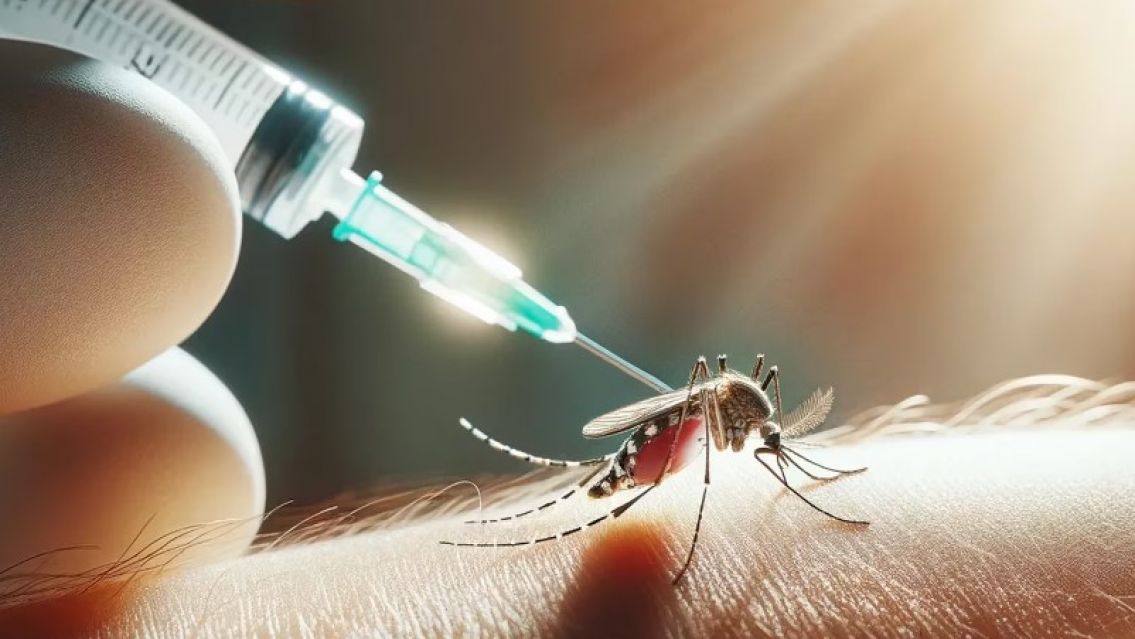 Llegan las vacunas contra el dengue a Jujuy: enterate a quiénes les toca primero