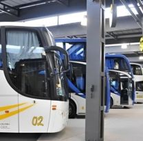 Polémico cambio en los micros de larga distancia: "Bajo tu propio riesgo"