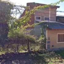 Escalofriante hallazgo en Los Huaicos: varios perros sin vida en una pileta