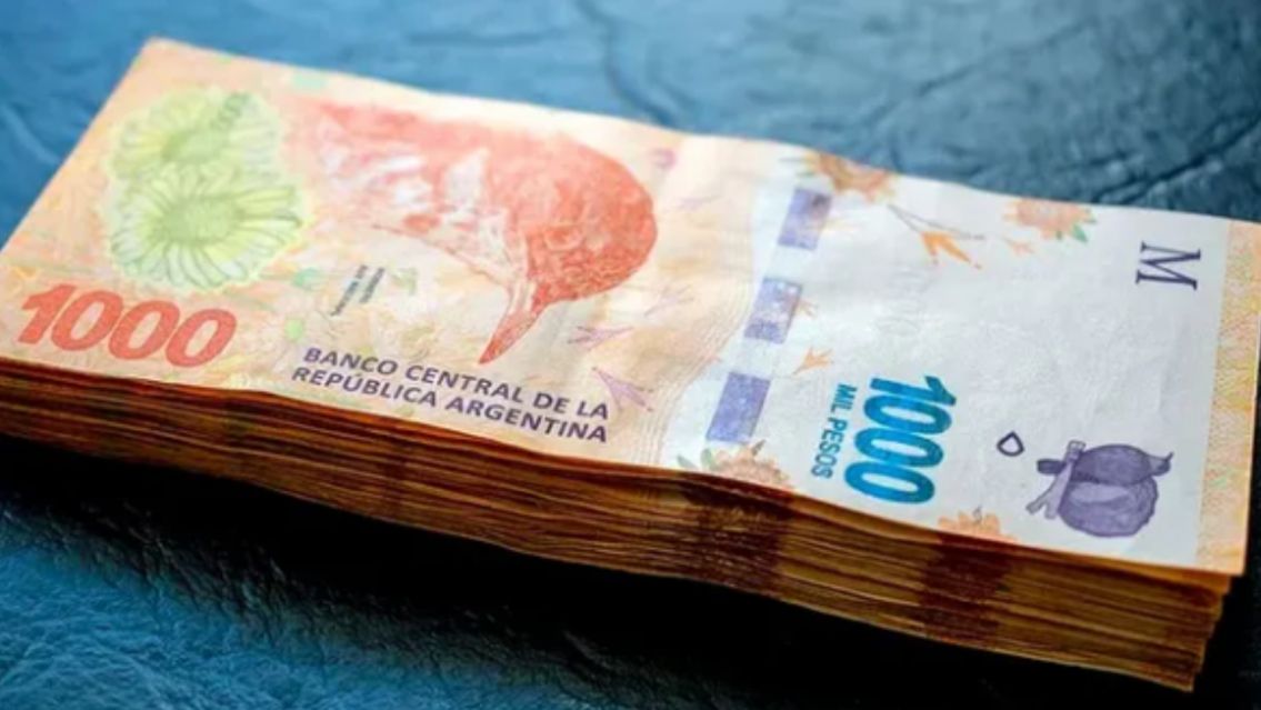 [ATENCI�N] El nuevo bono �NICO de ANSES: qui�nes pueden recibirlo