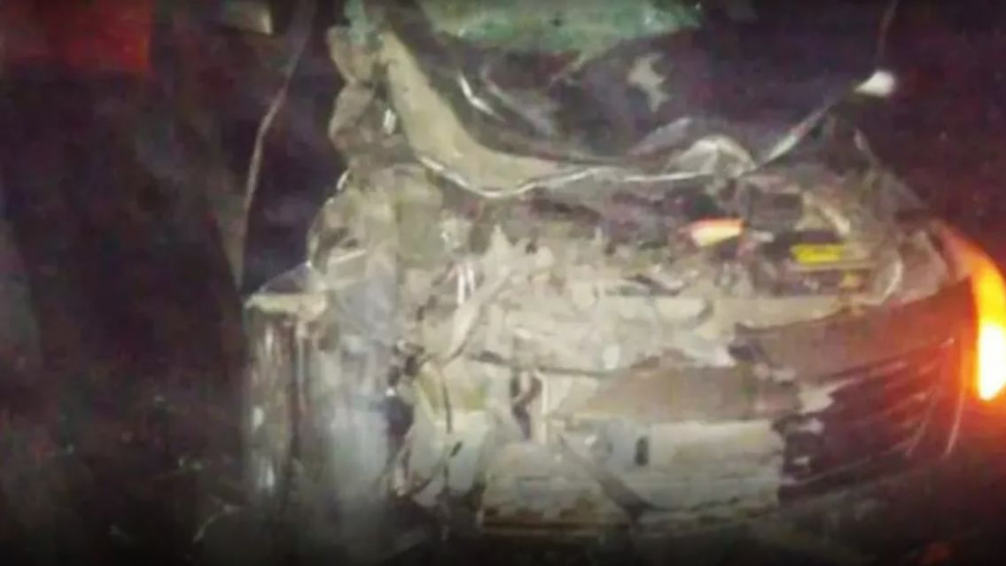 Brutal choque en ruta 9: un auto se llev� puesto un caballo