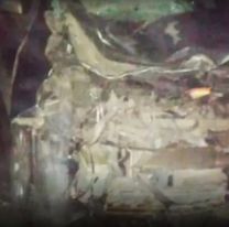 Brutal choque en ruta 9: un auto se llevó puesto un caballo