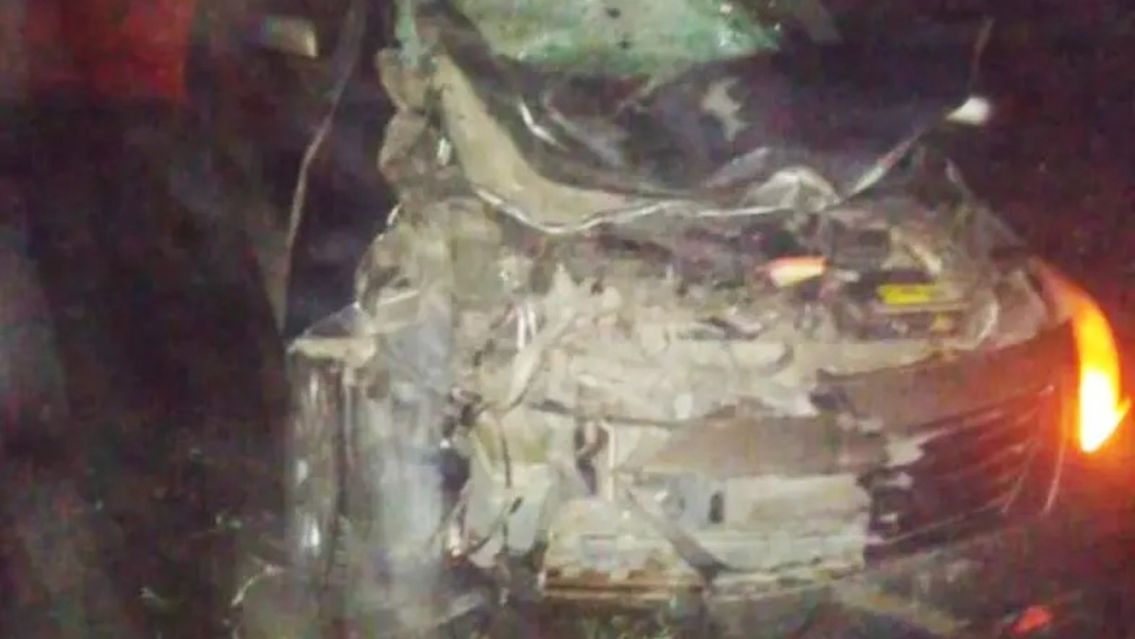 Brutal choque en ruta 9: un auto se llevó puesto un caballo