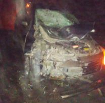 Brutal choque en ruta 9: un auto se llevó puesto un caballo