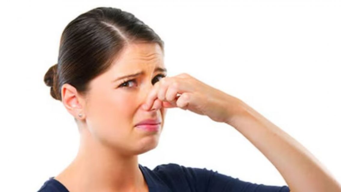 Qu� significa sentir olor a pis de gato sin tener uno en casa