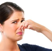 Qu&eacute; significa sentir olor a pis de gato sin tener uno en casa