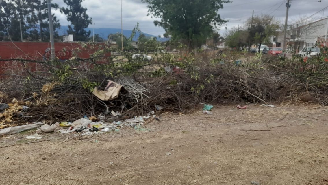 Microbasurales en Palpalá: un problema sin solución