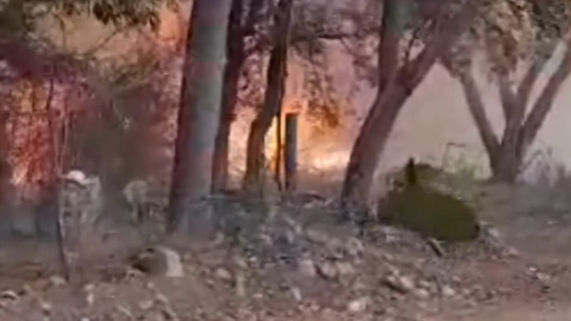 Terrible incendio en barrio 18 de noviembre: Los vecinos tienen mucho miedo