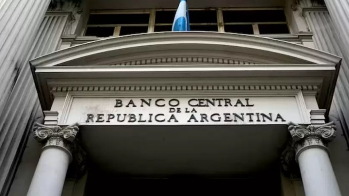 El Central vendi� 238 millones d�lares en el mercado, el mayor saldo negativo en la era Milei