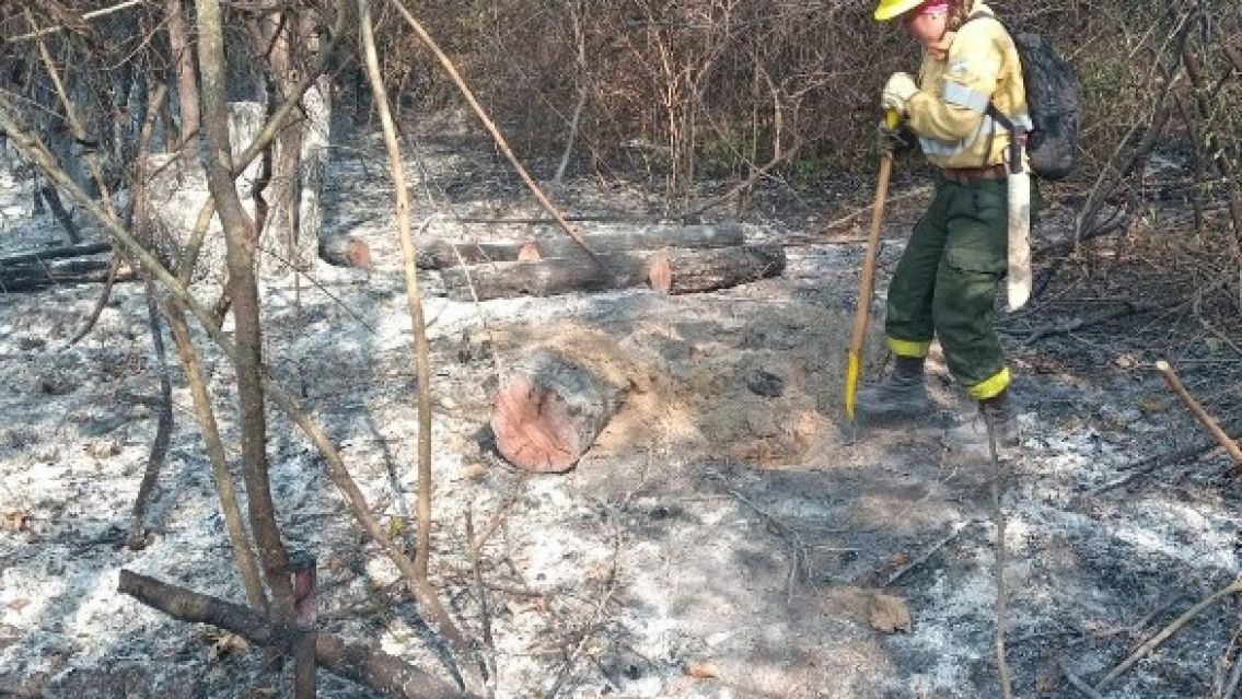 Jujuy: el fuego arras� m�s de 140 hect�reas en la �ltima semana