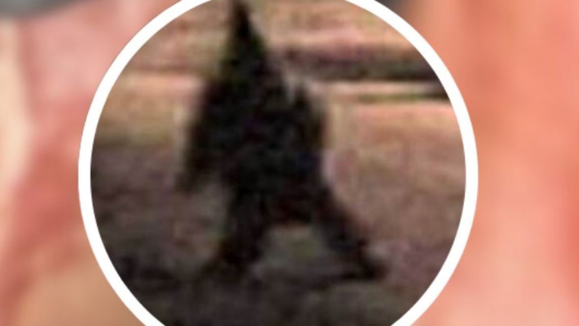  Se agarr� con el duende en el ingenio y casi no la cuenta: "Chato y oscuro"