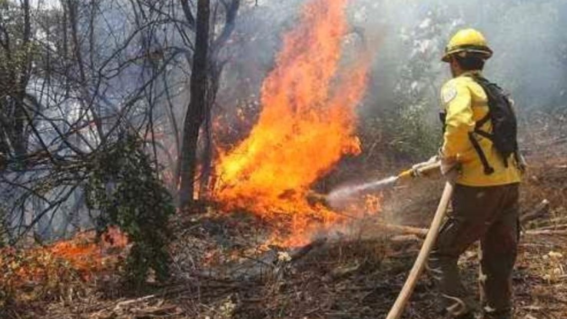 Alerta extrema por incendios forestales en Jujuy: la terrible advertencia del SMN