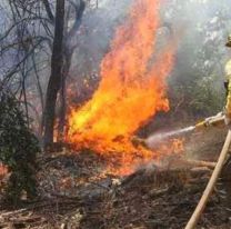 Alerta extrema por incendios forestales en Jujuy: la terrible advertencia del SMN