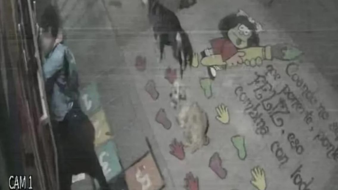 Dejaron libre al delincuente que ayer protagoniz� un violento robo en Jujuy