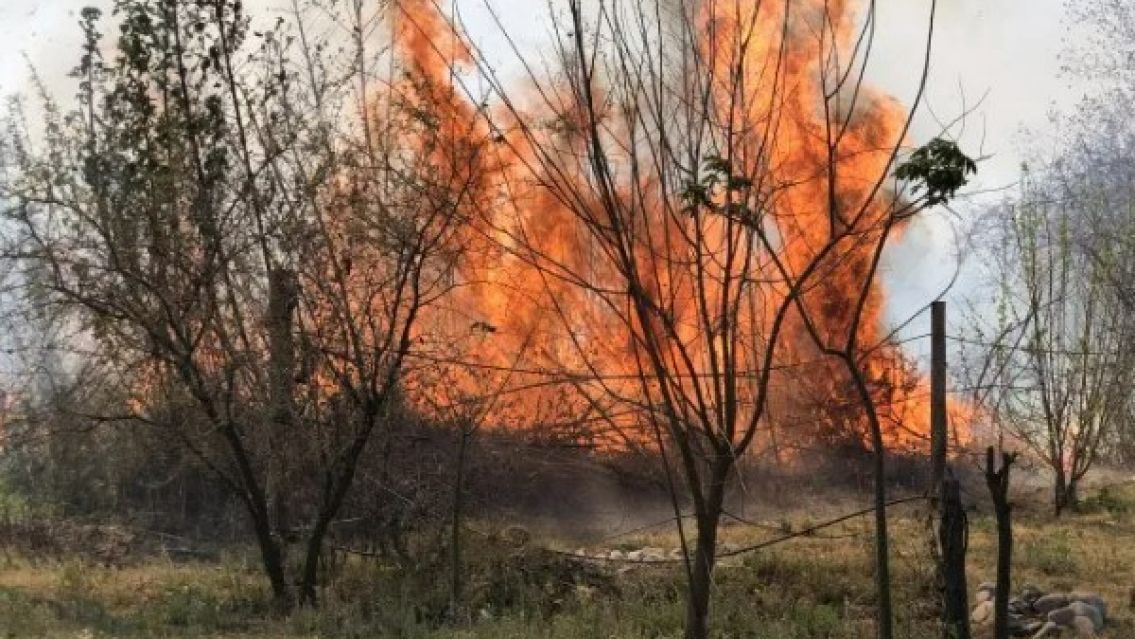 Terrible incendio genera p�nico en Palpal�: Luchan para controlarlo