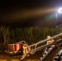 "Me arrastró con mucha fuerza": el terrible momento que vivió un obrero en el cañaveral