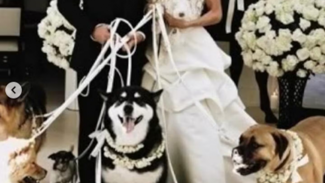 Los encontraron en la cama, murieron los dos. Dr�stica historia de famoso cantante